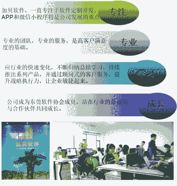 东莞软件开发