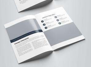 简约大气蓝色科技公司软件开发宣传册模板